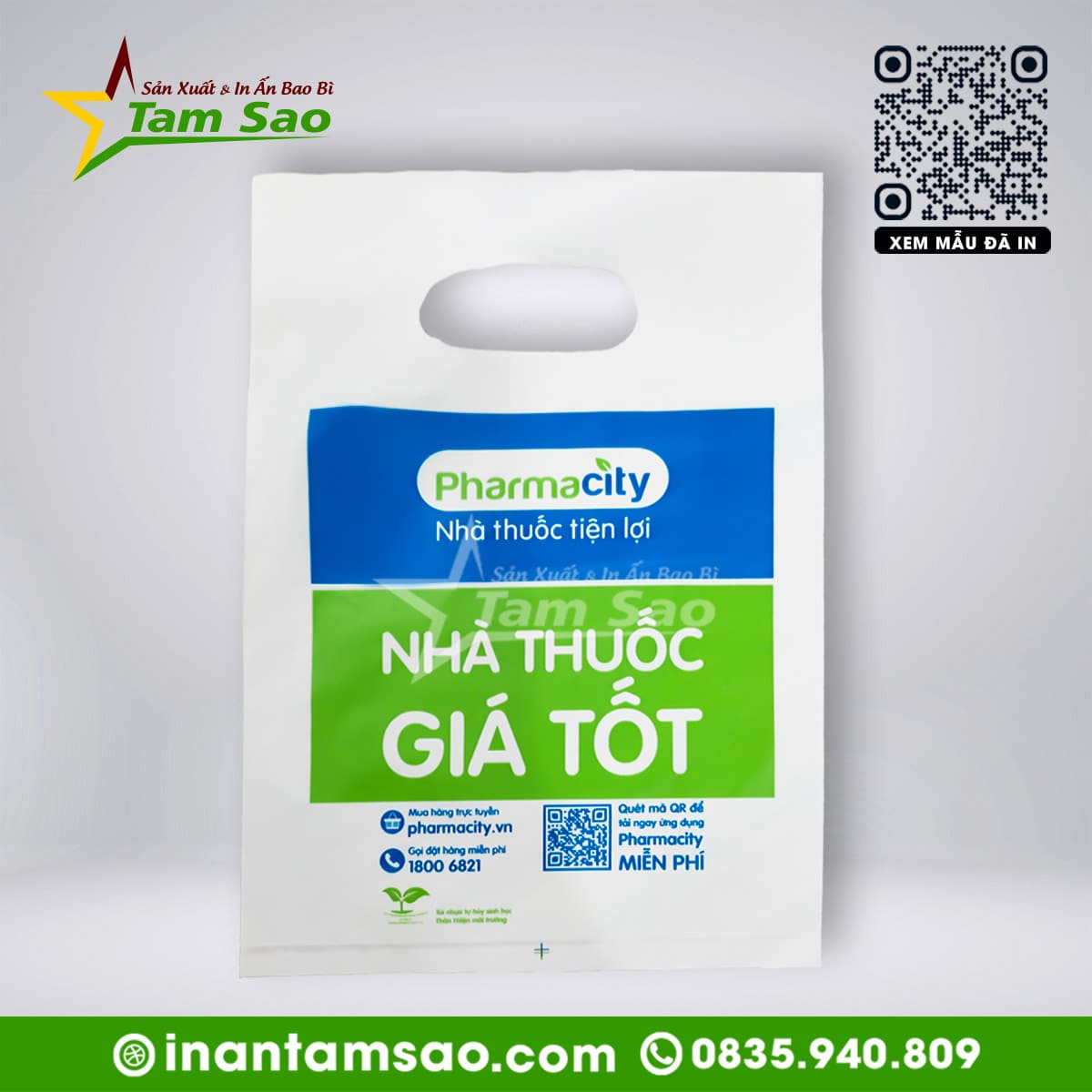 Túi Hột Xoài HD nhà thuốc Túi Hột Xoài HD nhà thuốc