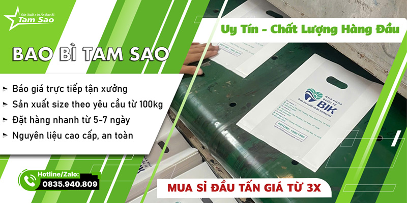 tui hot xoai in logo cong ty gia si