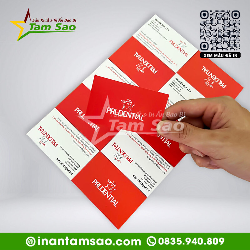 Ấn Phẩm Văn Phòng in name card, in card visit, in card visit gia re, in name card gia re, bao bì tam sao, thiet ke card visit