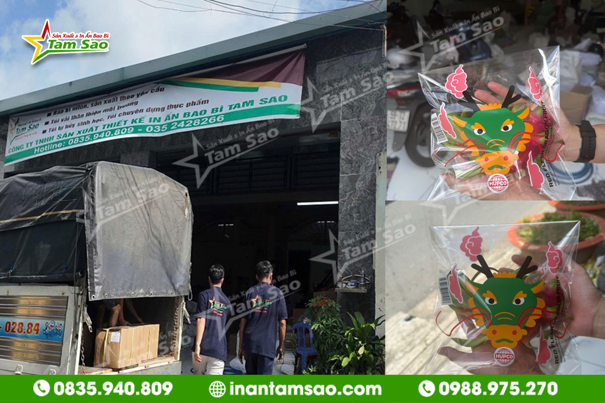 Túi OPP Đựng Thanh Long địa chỉ sản xuất túi OPP thanh long uy tín